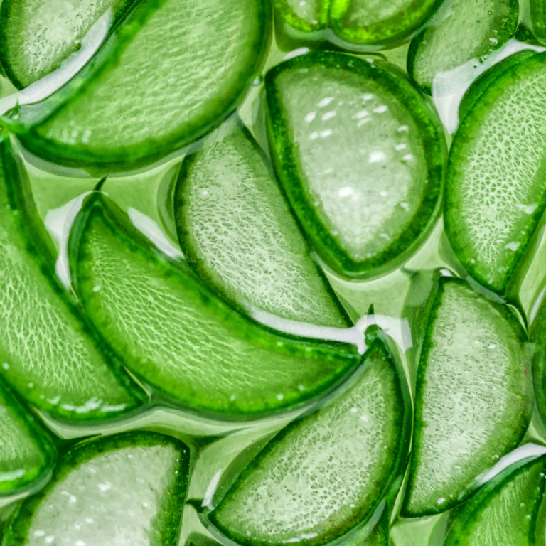 Aloe