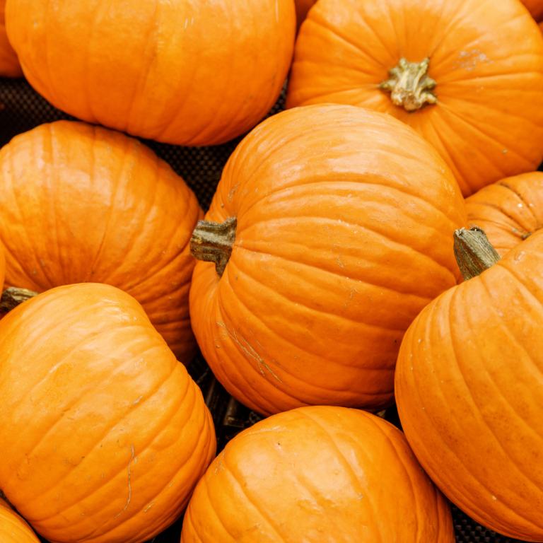Pumpkin puree